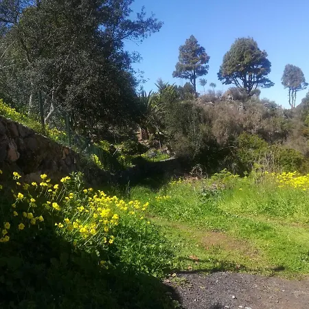 La Campana De Arriba 公寓 La Guancha